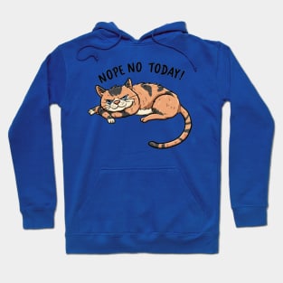 "Lazy Day Whimsy: Children's Cat Nap" - Funny Nope Not Today Hoodie